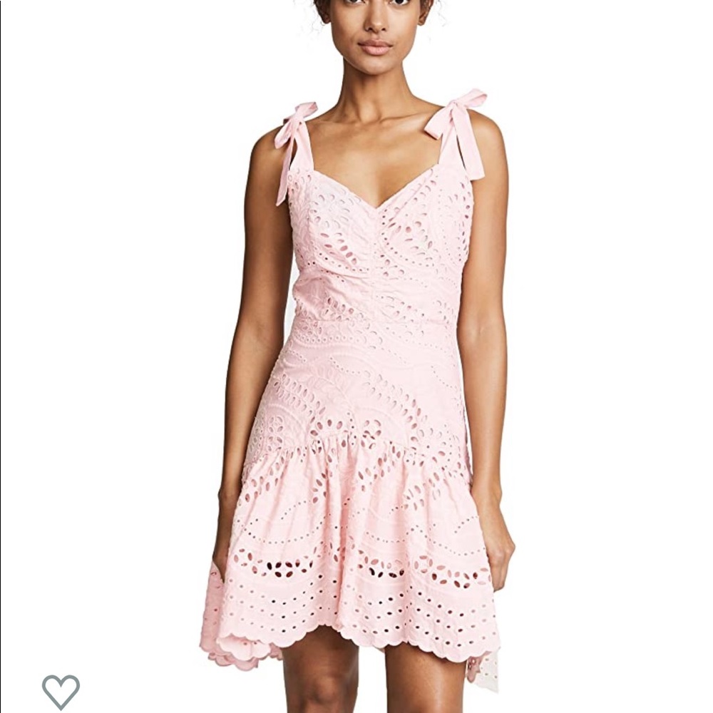 PARKER pearl blush eyelet dress NWT